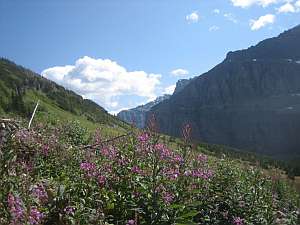 Glacier Bowman-Kitla Brown Pass