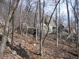 OHT Ozone Rock Garden