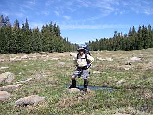 San Pedro Jack standing in meadow