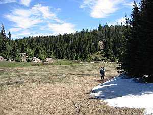 San Pedro Jack walks by snow