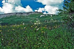 Weminuche Gunsight Pass.